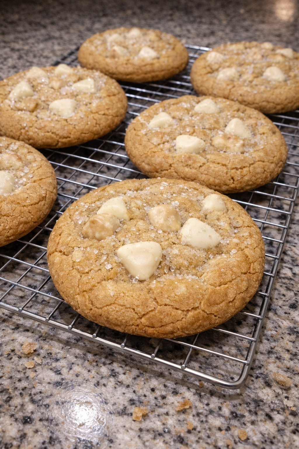 White Chocolate Macadamia